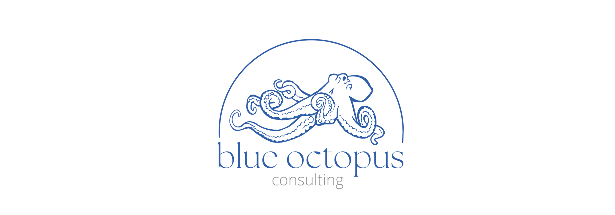 2024.1029 Blue Octopus Consulting 2000 2024.1029 Blue Octopus Consulting 2000