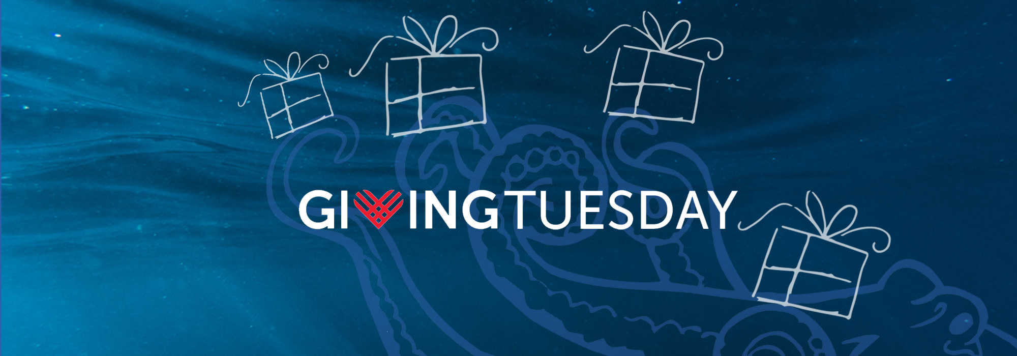 2024.1125 Giving Tuesday 2000 2024.1125 Giving Tuesday 2000