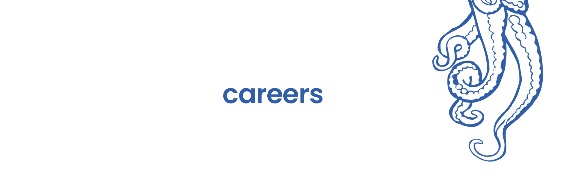2025.0306 Blue Octopus Website Careers