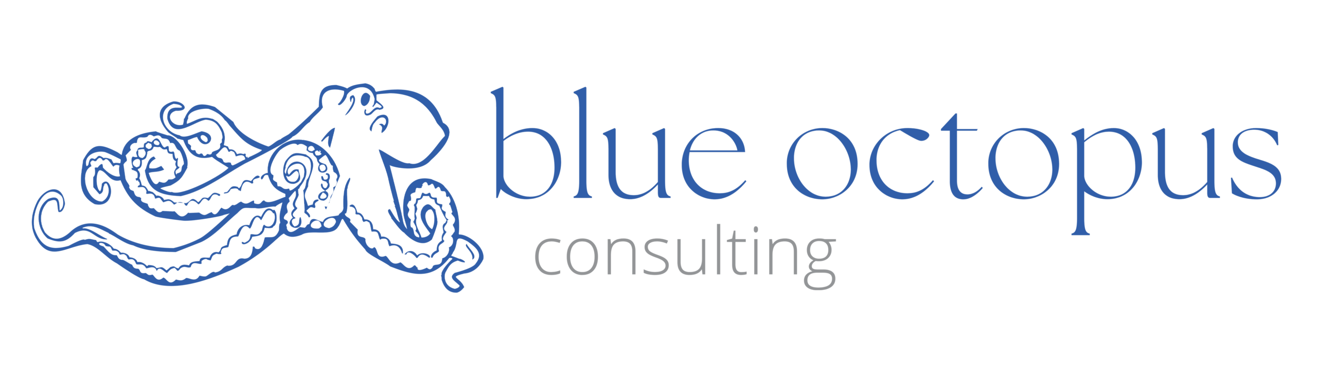 blue octopus consulting